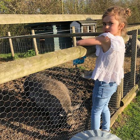 Willow Court Farm Studio East & Petting Farm, 8 Mins To Legoland & Windsor, 15 Mins To Lapland Uk Zewnętrze zdjęcie