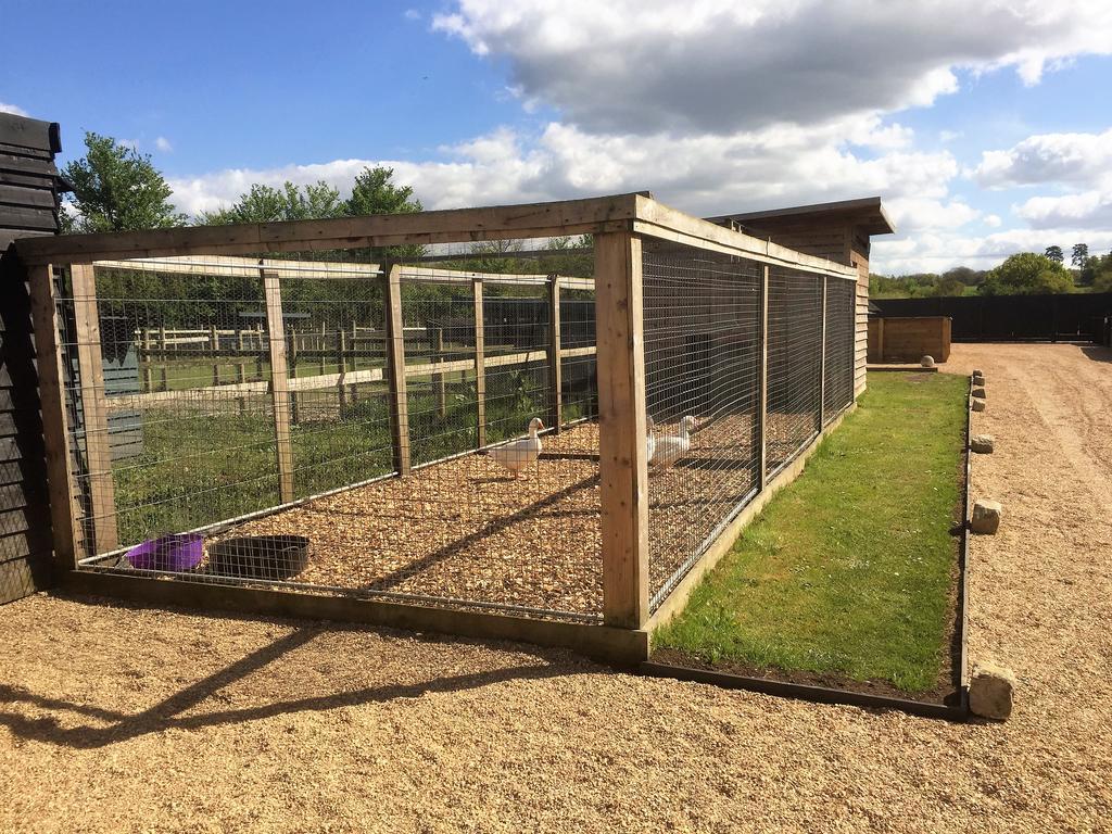 Willow Court Farm Studio East & Petting Farm, 8 Mins To Legoland & Windsor, 15 Mins To Lapland Uk Zewnętrze zdjęcie