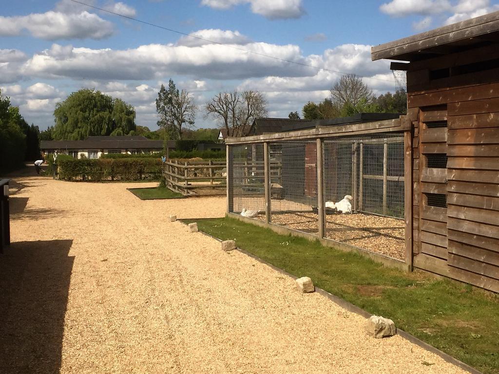 Willow Court Farm Studio East & Petting Farm, 8 Mins To Legoland & Windsor, 15 Mins To Lapland Uk Zewnętrze zdjęcie
