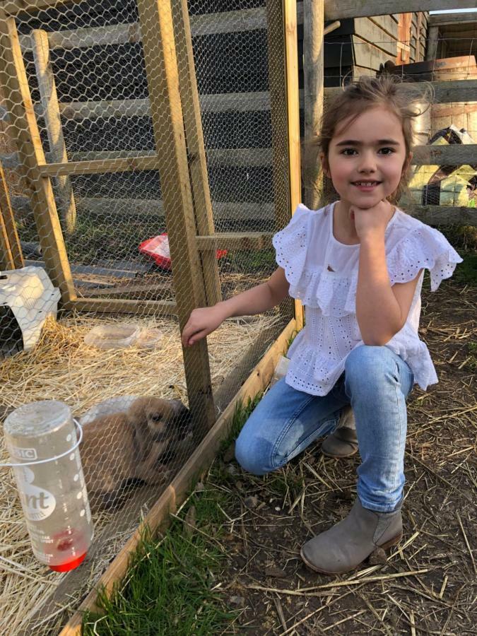 Willow Court Farm Studio East & Petting Farm, 8 Mins To Legoland & Windsor, 15 Mins To Lapland Uk Zewnętrze zdjęcie