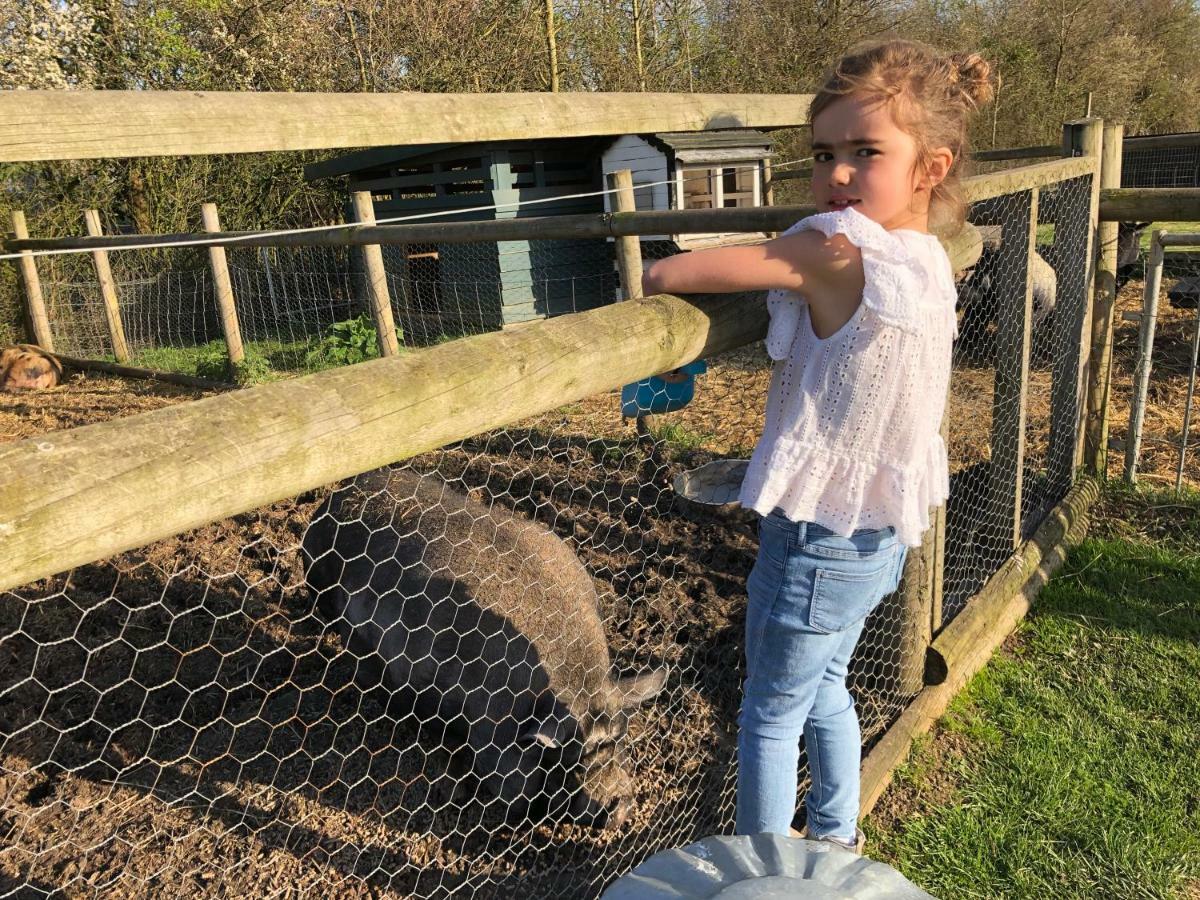 Willow Court Farm Studio East & Petting Farm, 8 Mins To Legoland & Windsor, 15 Mins To Lapland Uk Zewnętrze zdjęcie