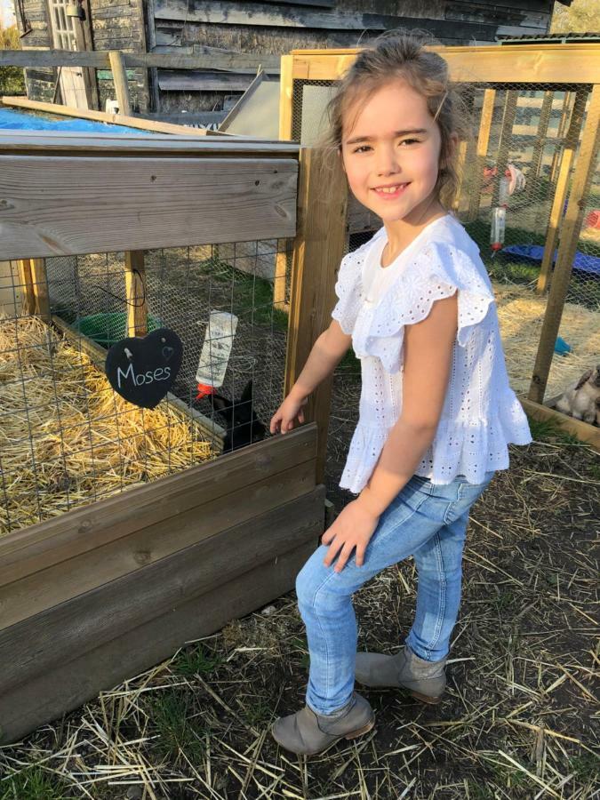 Willow Court Farm Studio East & Petting Farm, 8 Mins To Legoland & Windsor, 15 Mins To Lapland Uk Zewnętrze zdjęcie