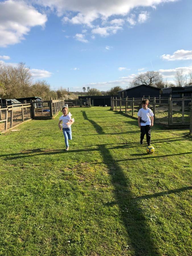 Willow Court Farm Studio East & Petting Farm, 8 Mins To Legoland & Windsor, 15 Mins To Lapland Uk Zewnętrze zdjęcie