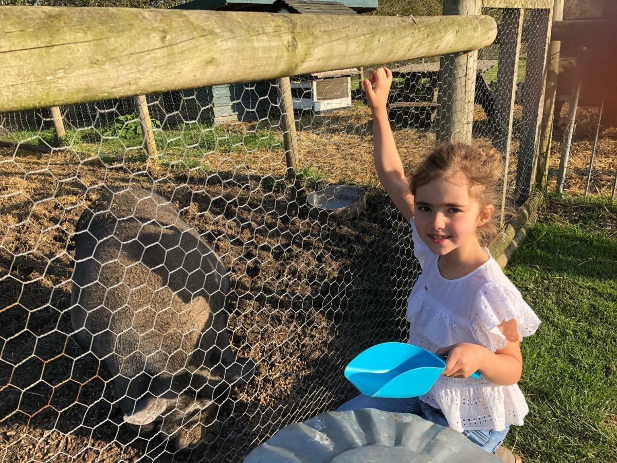 Willow Court Farm Studio East & Petting Farm, 8 Mins To Legoland & Windsor, 15 Mins To Lapland Uk Zewnętrze zdjęcie